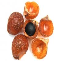 Soapnut extract(Soapberry extract) Soapnut extract(Soapberry extract)