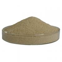 Sodium Alginate Sodium Alginate