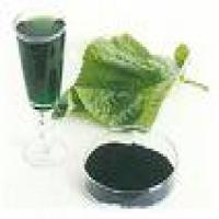 Sodium Copper Chlorophyllin Sodium Copper Chlorophyllin