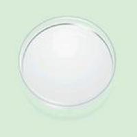 Titanium Dioxide Titanium Dioxide