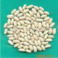 White Kidney Bean Extract(Multiflora bean extract) White Kidney Bean Extract(Multiflora bean extract)