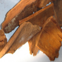 Yohimbine Bark Extract Yohimbine Bark Extract