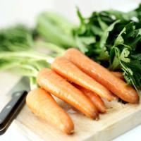Carrot Oil Carrot Oil