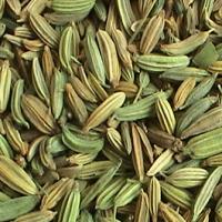 Fennel extract(Cumin extract) Fennel extract(Cumin extract)