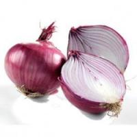 Onion Extract Onion Extract