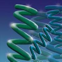 Spirulina Extract Spirulina Extract