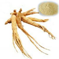 Brazilian Ginseng (Pfaffia glomerata) Extract Brazilian Ginseng (Pfaffia glomerata) Extract