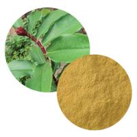 Costus Igneus Extract(Insulin Plant Extract) Costus Igneus Extract(Insulin Plant Extract)