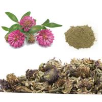 Red Clover Blossom Extract Powder Red Clover Blossom Extract Powder