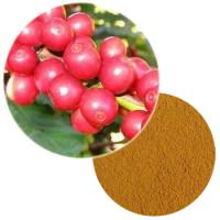 Whole Coffee Fruit Extract Powder Whole Coffee Fruit Extract Powder