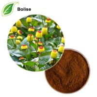 Acmella Oleracea Flower Extract Acmella Oleracea Flower Extract