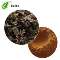 Japanese Ardisia Herb Extract Japanese Ardisia Herb Extract
