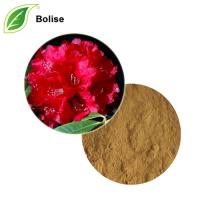 Rhododendron Arboreum Flower Extract (Solvent Extraction) Powder Rhododendron Arboreum Flower Extract (Solvent Extraction) Powder