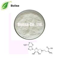 S-Adenosyl Methionine (S-adenosylmethionine) S-Adenosyl Methionine (S-adenosylmethionine)