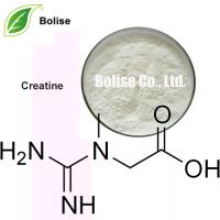 Creatine Creatine