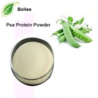 Pea Protein Powder Pea Protein Powder