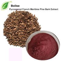 Pycnogenol French Maritime Pine Bark Extract Pycnogenol French Maritime Pine Bark Extract