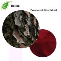 Pycnogenol Stem Extract Pycnogenol Stem Extract