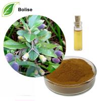 Myrtle Leaf Extract (Essential oils) Myrtle Leaf Extract (Essential oils)