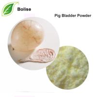 Pig Bladder Powder Pig Bladder Powder