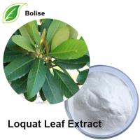 Loquat Leaf Extract Loquat Leaf Extract