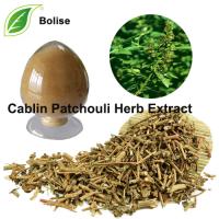 Cablin Patchouli Herb Extract(Herba Pogostemonis Extract) Cablin Patchouli Herb Extract(Herba Pogostemonis Extract)