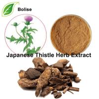 Japanese Thistle Herb Extract(Japanese Thistle Root Extract) Japanese Thistle Herb Extract(Japanese Thistle Root Extract)