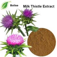 Milk Thistle Extract Milk Thistle Extract