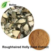 Roughhaired Holly Root Extract Roughhaired Holly Root Extract