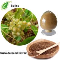 Cuscuta Seed Extract (Dodder seed Extract) Cuscuta Seed Extract (Dodder seed Extract)