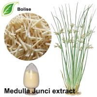 Common Rush Extract(Medulla Junci Extract) Common Rush Extract(Medulla Junci Extract)