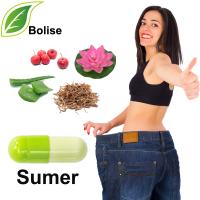 Sumer Sumer