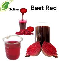 Rote Beete (Rote Beete rot)