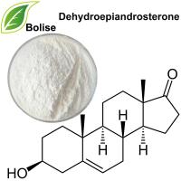 dehydroepiandrosterone