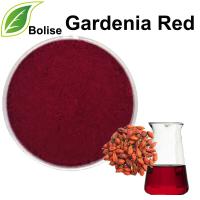 Gardénia rouge