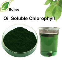 Chlorophyll ya mumunyifu wa Mafuta