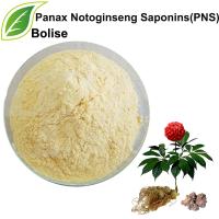 Saponiny Panax Notoginseng (PNS)