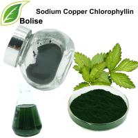 Sodium Copper Chlorophyllin Sodium Copper Chlorophyllin
