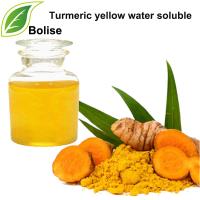 Turmeric Yellow Water Soluble Turmeric Yellow Water Soluble