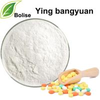 Ying bangyuan Ying bangyuan