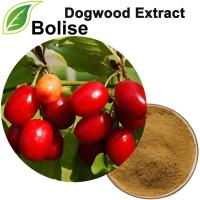 Dogwood Extract