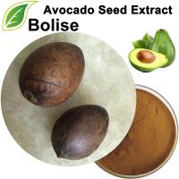 Avocado Seed Extract