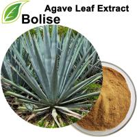 Agave Leaf Extract