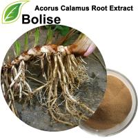 عصاره ریشه آکوروس کالاموس