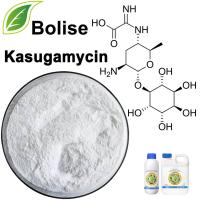 Kasugamycin