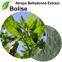 Detholiad Atropa Belladonna