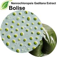 Nannochloropsis Gaditana Extract