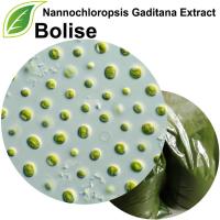 Estratto di Nannochloropsis Gaditana