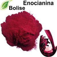 Ekstrakt ze skórek winogron (Enocianina)
