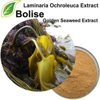 Laminaria Ochroleuca (kuldvetika) ekstrakt